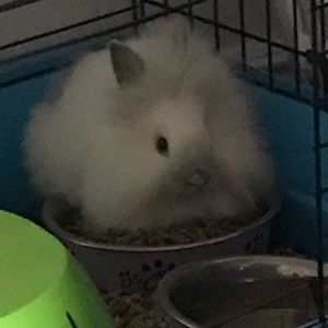 Meet your Posher, Marie-pier